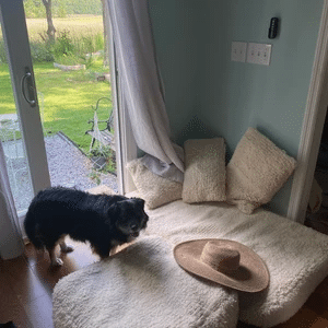 Image #1 from Ainsley Davis