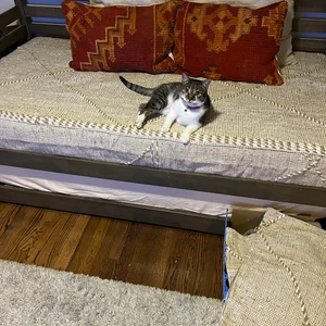 Image #1 from Samantha