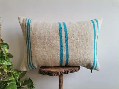 Cushion Cover Light Blue