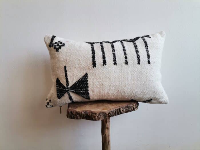 Black and White Pillow Case
