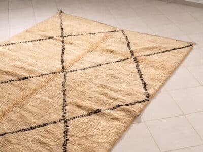 6x9 Large Area Beni Rug - Image 3