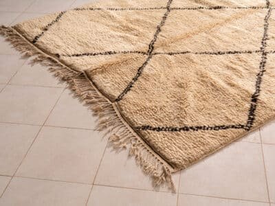 6x9 Large Area Beni Rug - Image 4