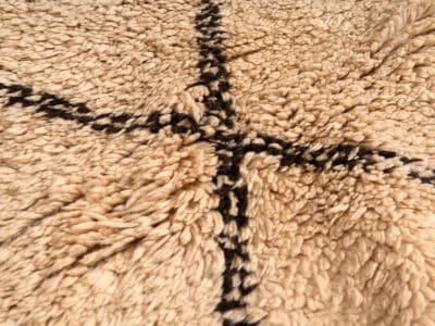 6x9 Large Area Beni Rug - Image 8