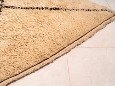 6x9 Large Area Beni Rug - Image 6