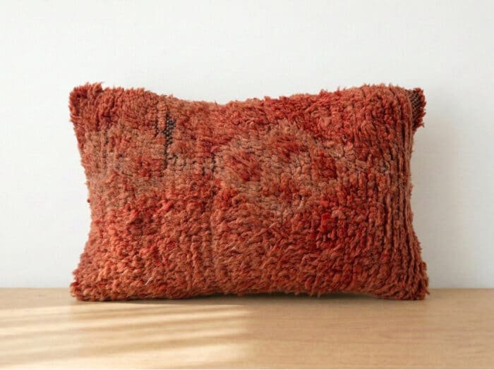 Vintage Moroccan Terracotta Shag Pillow