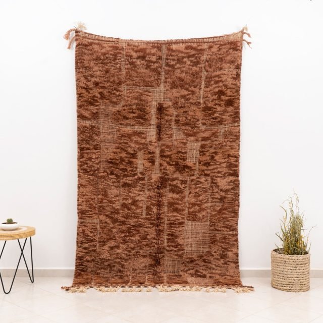 Modern Beni Rug Brown